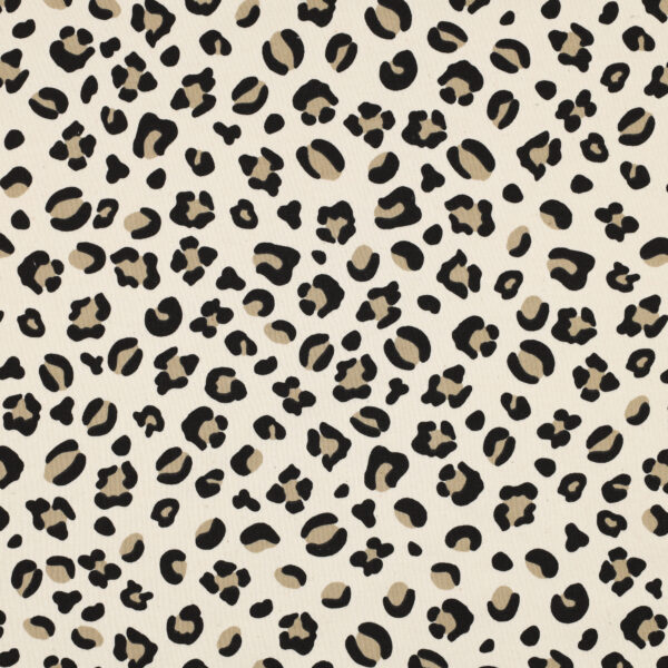 Joustocollege: Leopardi